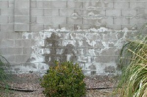 CMU wall with Efflorescence.